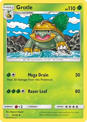 Carta Grotle