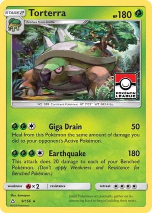 Carta Torterra