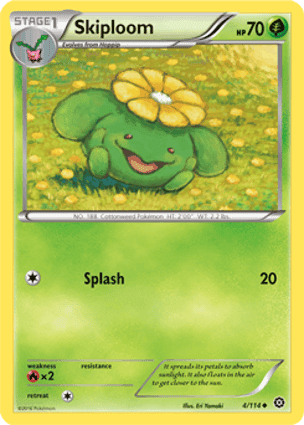 Carta Skiploom