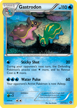 Carta Gastrodon