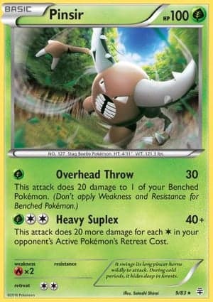 Carta Pinsir