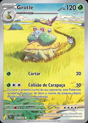 Carta Grotle