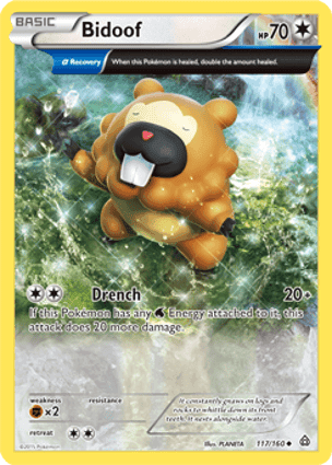 Carta Bidoof