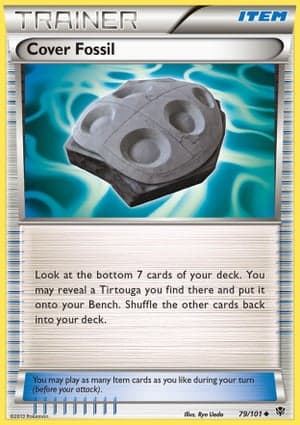 Carta Cover Fossil