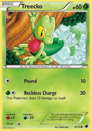 Carta Treecko