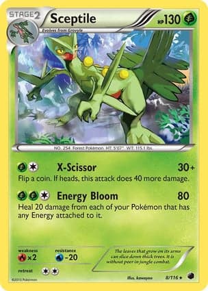Carta Sceptile