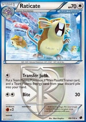 Carta Raticate