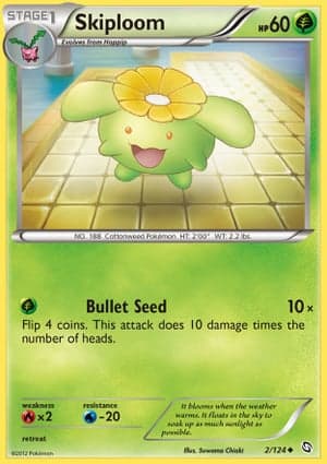 Carta Skiploom