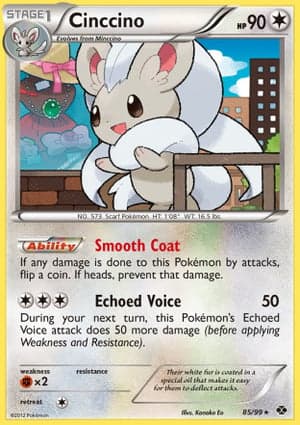 Carta Cinccino