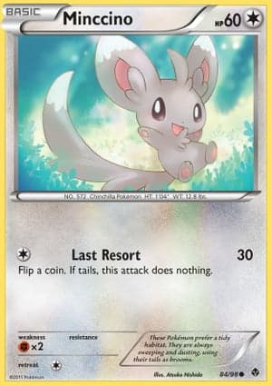 Carta Minccino