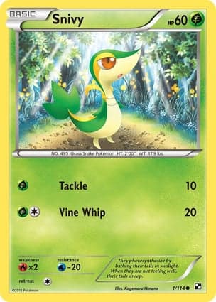 Carta Snivy