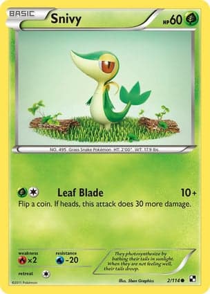 Carta Snivy