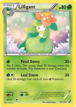 Carta Lilligant
