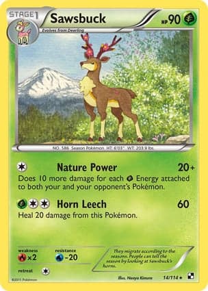 Carta Sawsbuck
