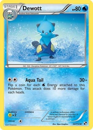 Carta Dewott