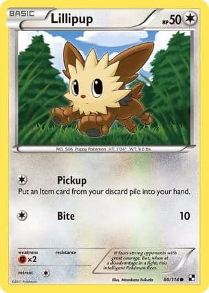 Carta Lillipup