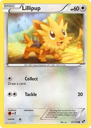 Carta Lillipup