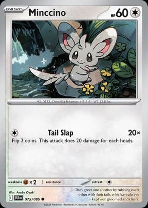 Carta Minccino