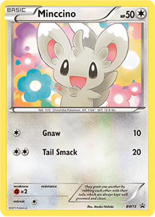 Carta Minccino