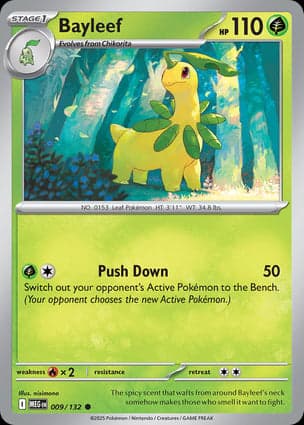 Carta Bayleef