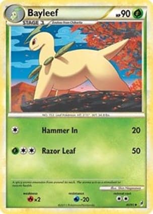 Carta Bayleef