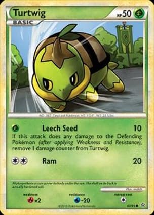 Carta Turtwig