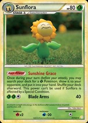 Carta Sunflora