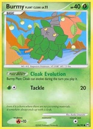 Carta Burmy Casca de Planta