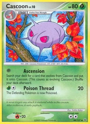 Carta Cascoon