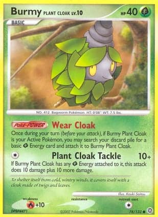 Carta Burmy Casca de Planta