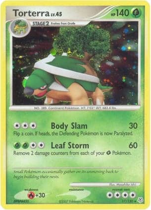 Carta Torterra