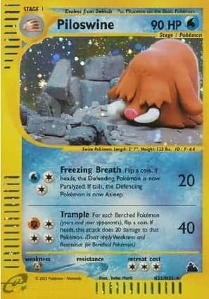Carta Piloswine
