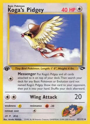 Carta Pidgey do Koga