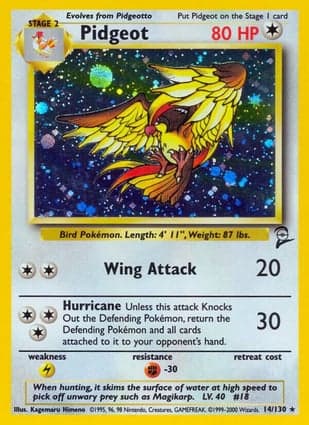 Carta Pidgeot